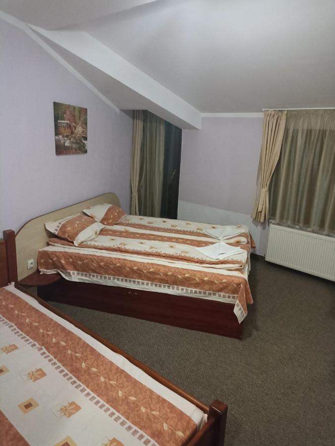 Petar Guest House 班斯科 外观 照片